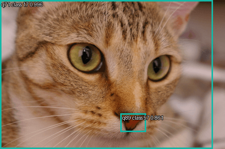 Chelsea the cat: genuine DETR predictions above 0.7, with query and COCO class IDs