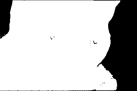 Chelsea the cat: genuine candidate 1 binary segmentation mask; white pixels are foreground