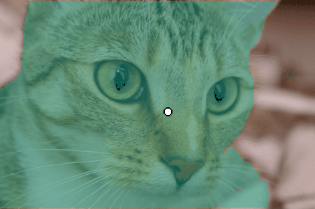 Chelsea the cat: official SAM best predicted-IoU mask overlaid in teal, with white foreground point