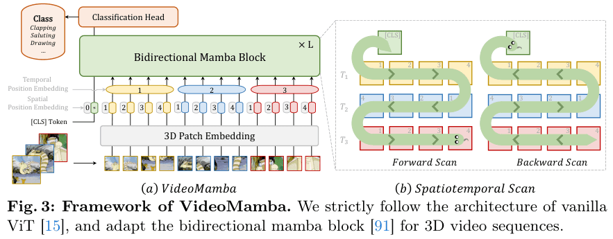 Original VideoMamba architecture with 3D patch embedding, spatial and temporal positions, CLS token, bidirectional blocks and forward/backward scan.